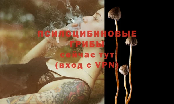 кристаллы Алзамай