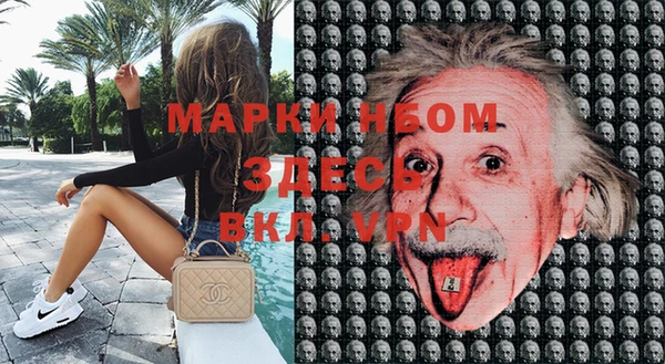 ПСИЛОЦИБИНОВЫЕ ГРИБЫ Алексин