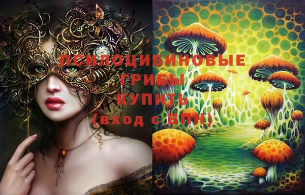 ПСИЛОЦИБИНОВЫЕ ГРИБЫ Алексин